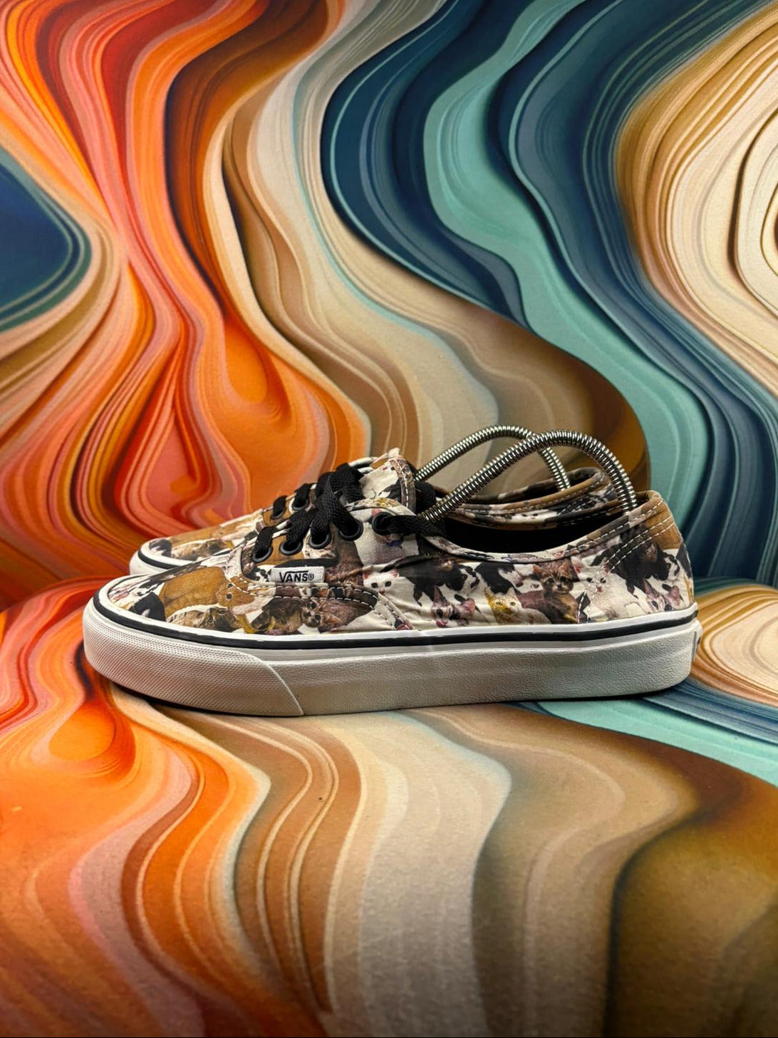 Vans Classic Cat Print Low